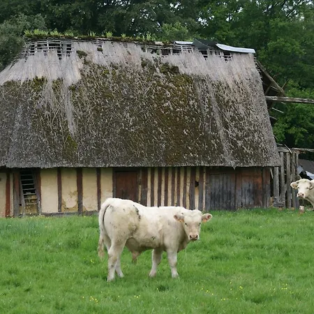 Maison De Vacances - La Trinite-de-reville
